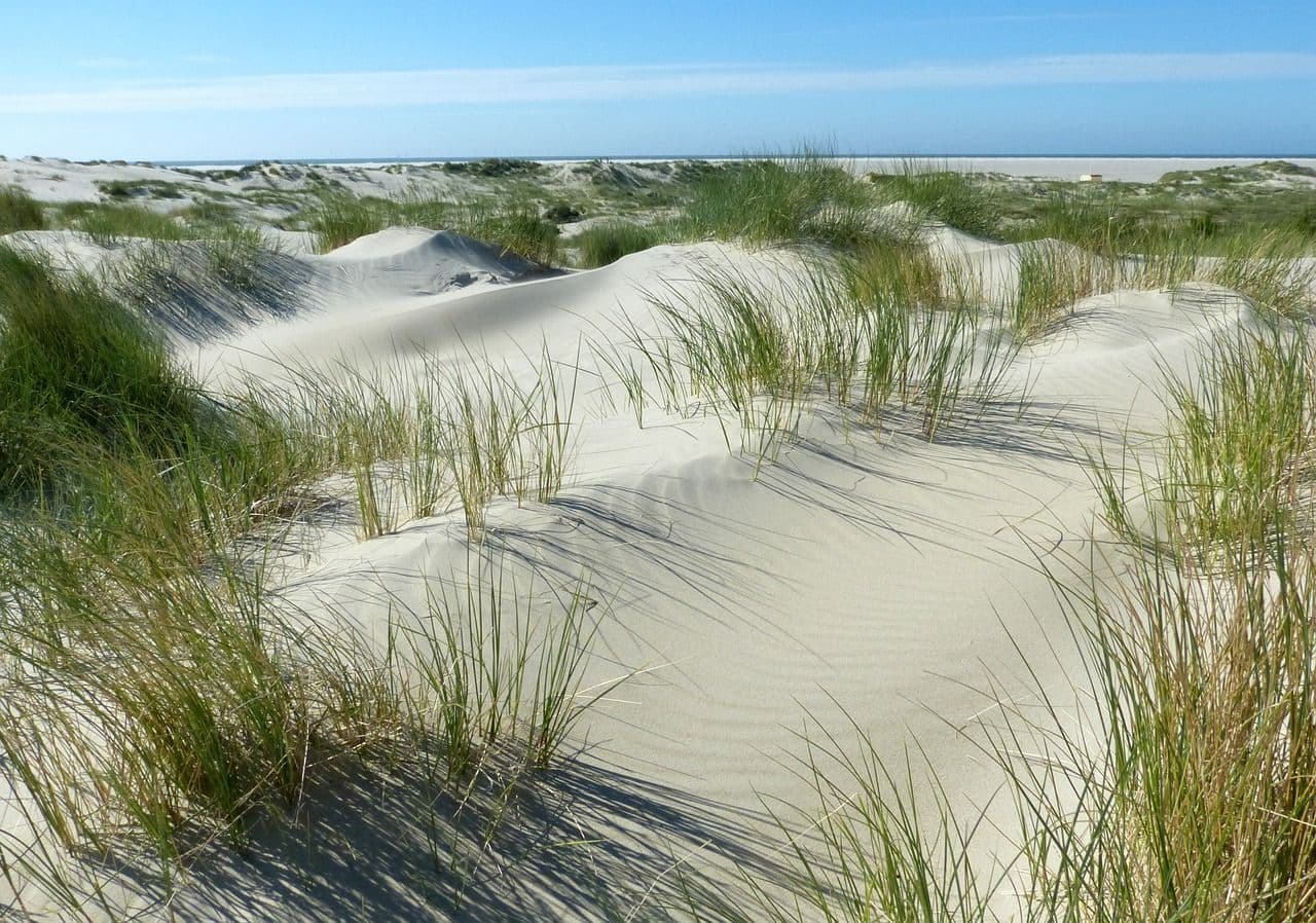 katamaran borkum fahrplan 2014